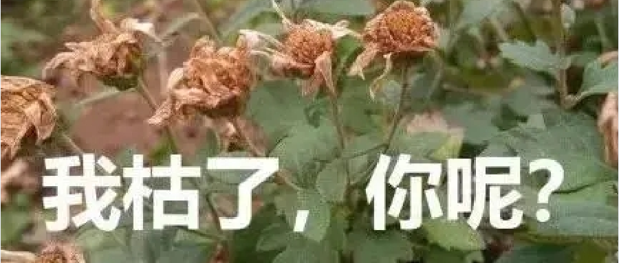 除了长痔疮，便秘的危害还有……